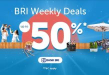 Mau Tiket Mudik dengan Harga Diskon 50% ? Begini Caranya ! tiket mudik