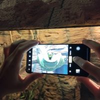 Tips Maksimalkan Fitur Kamera Telefoto