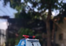 7 Tips Mengambil Foto dengan Fitur Portrait OPPO A95