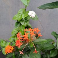 Pakai 3 Cara Ini untuk Bikin Foto yang Super Fun – Object Eraser 1