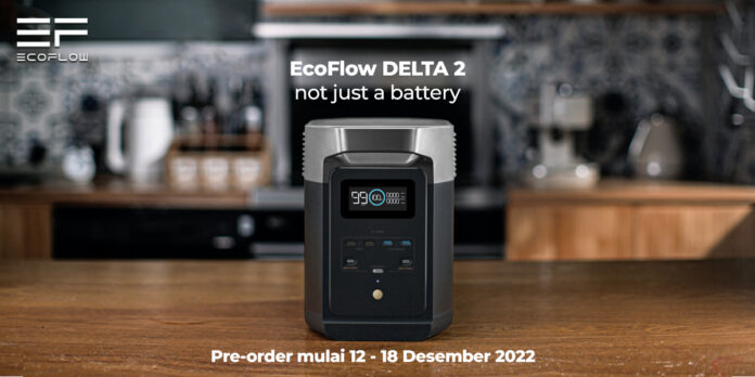 EcoFlow DELTA 2