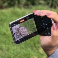 Trik Maksimal Fitur “Pro Video” di Samsung Galaxy Z Flip6, Agar Konten Cinematic Makin Kece