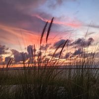 hasil foto kamera Redmi Note 14 5G (4)