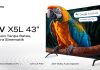 Infinix Smart TV X5L Debut, Bawa Layarnya 43 inci, Hanya 2 Jutaan